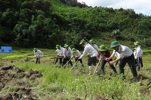 Thanh niên giúp dân khai hoang ruộng nước.jpg